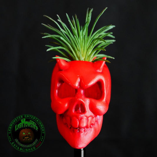 Devil Skull Air Planter - Handcrafted Gothic Home Decor