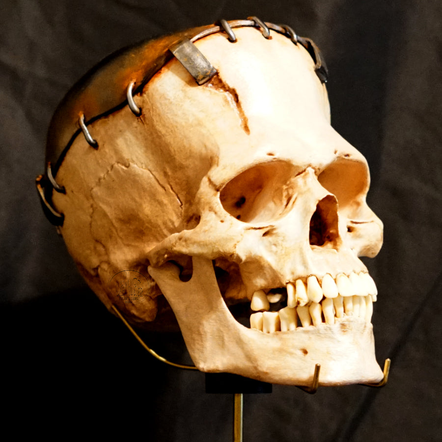 Life size Frankenstein Skull figure Normal Lighting