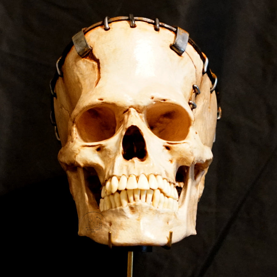 Life size Frankenstein Skull figure Normal Lighting