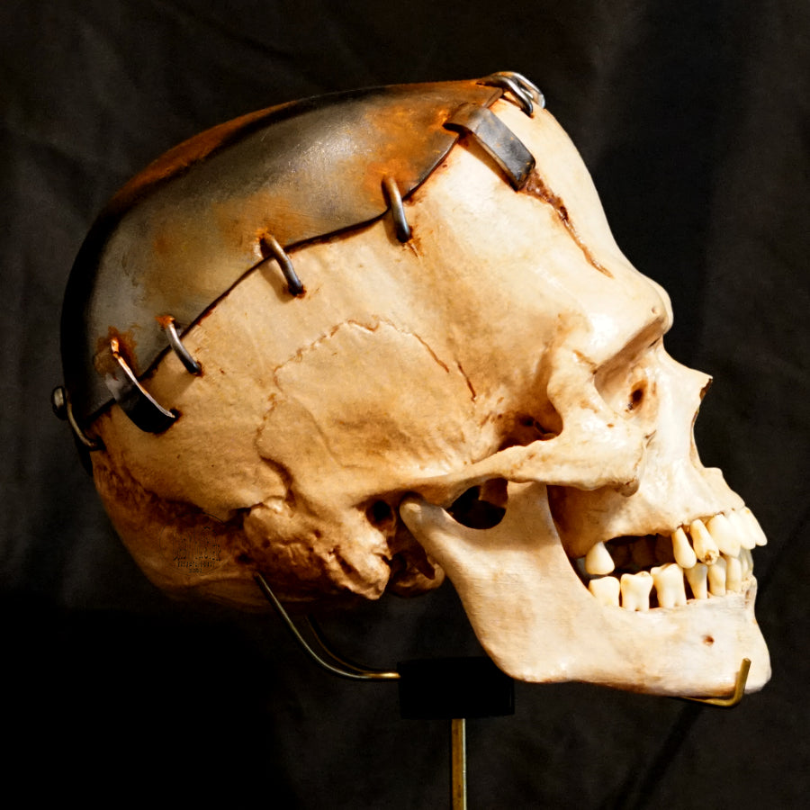 Life size Frankenstein Skull figure Normal Lighting Side View