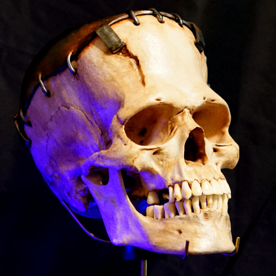 Life size Frankenstein Skull figure