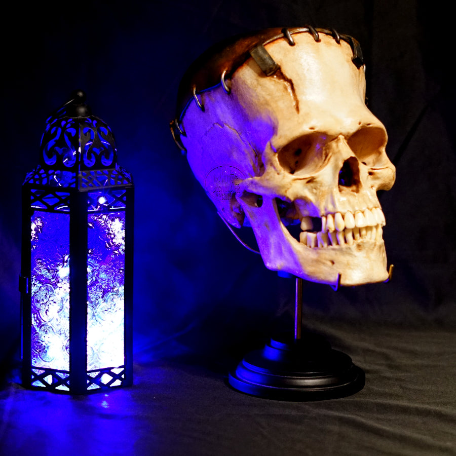 Life size Frankenstein Skull figure