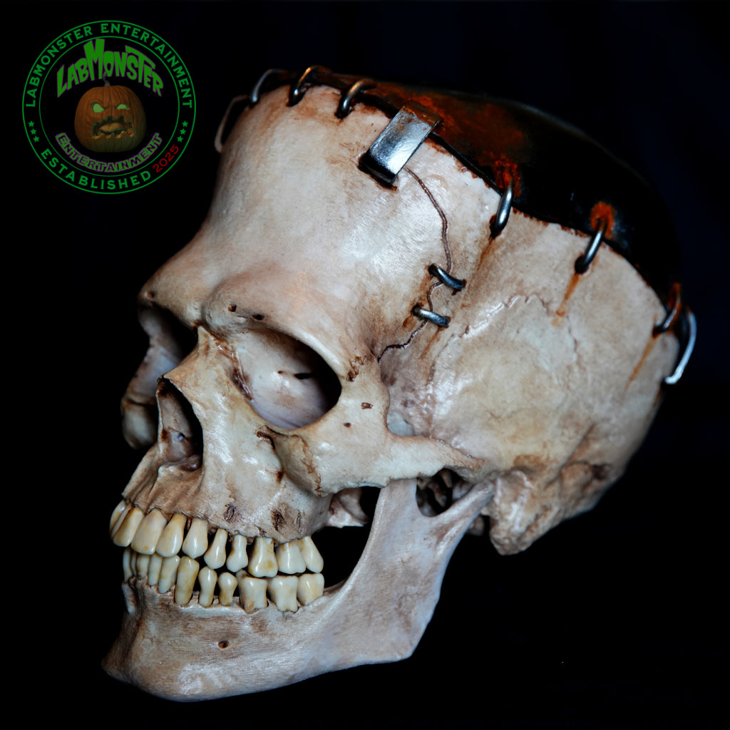 Life-Size Frankensetin Monster Skull Replica