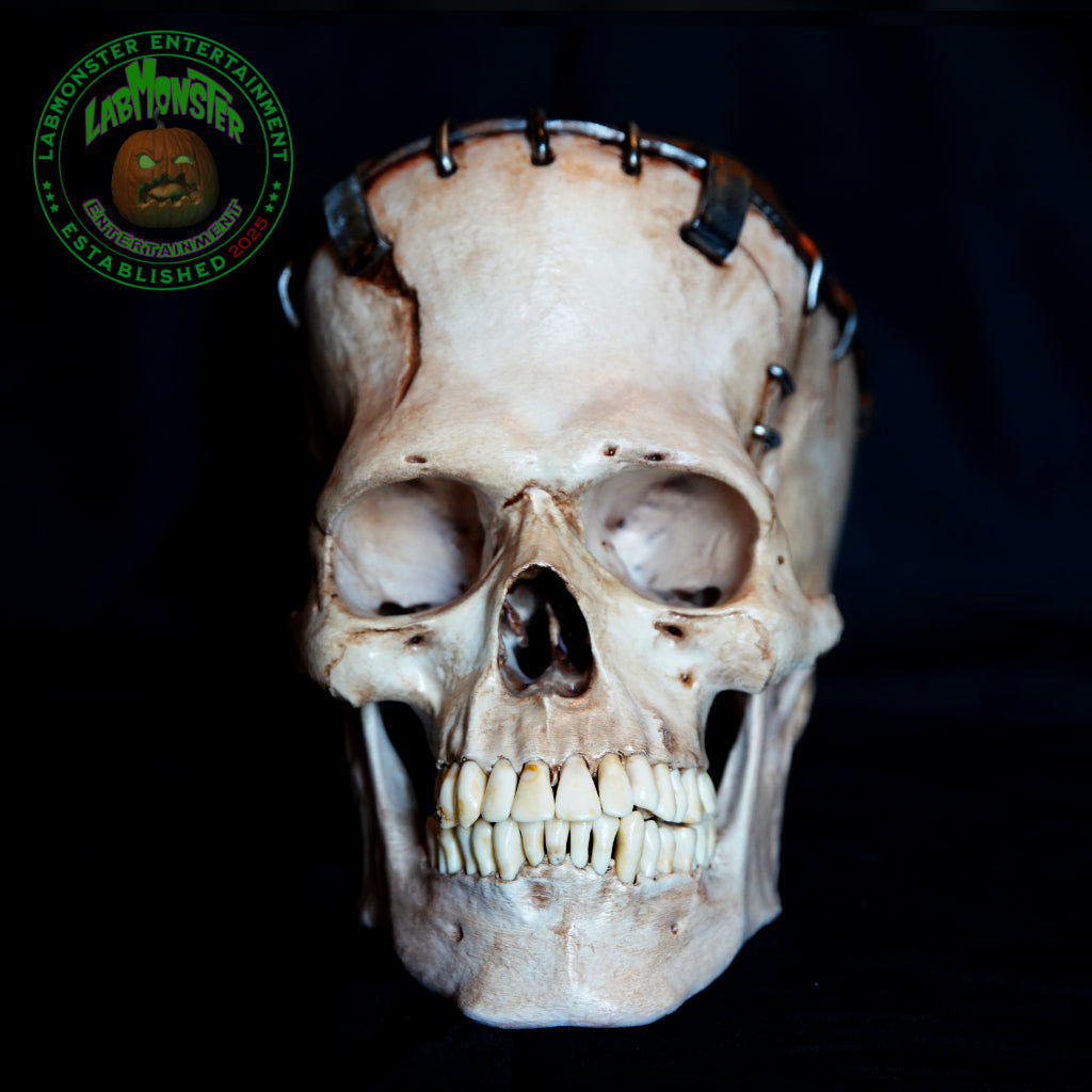 Life-Size Frankensetin Monster Skull Replica