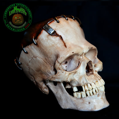 Life-Size Frankensetin Monster Skull Replica