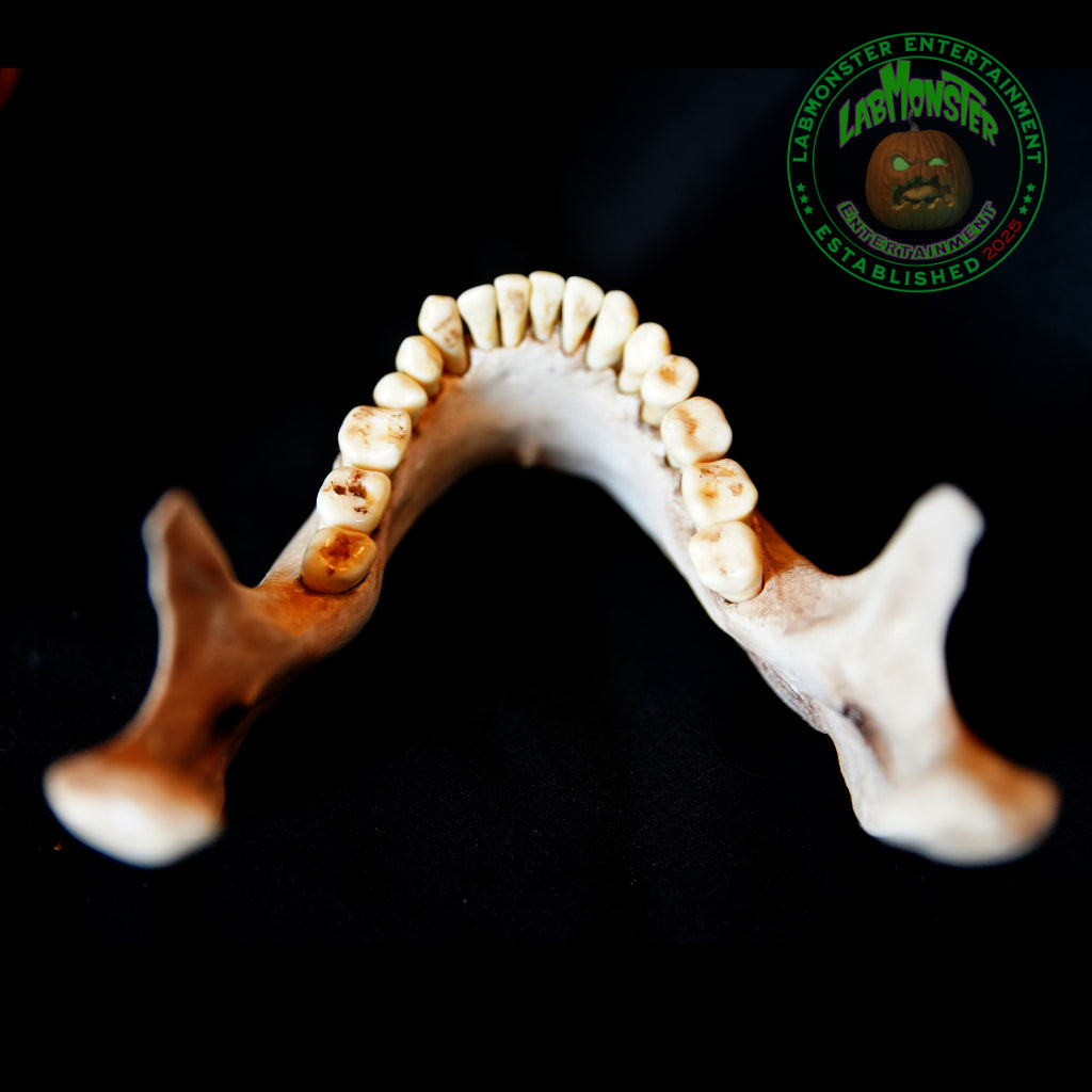 Life-Size Frankensetin Monster Skull Replica