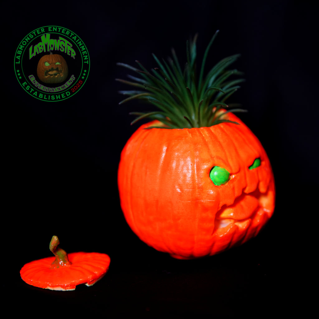 Pumpkin Gordo