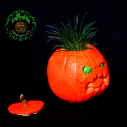 Pumpkin Gordo