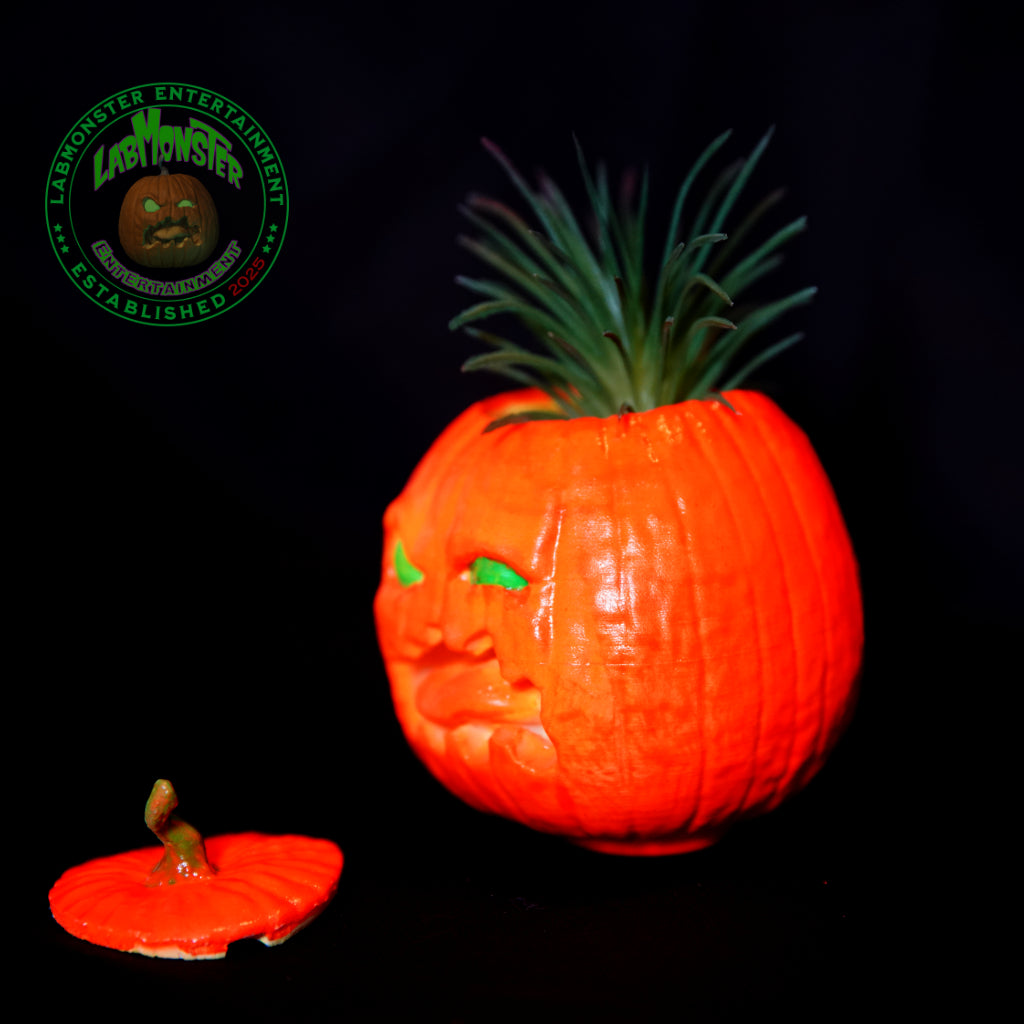 Pumpkin Gordo