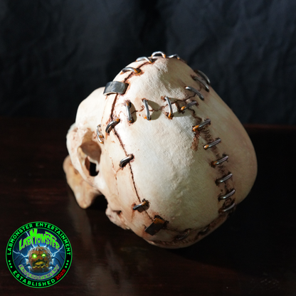 Life-Size Frankensetin Monster Skull Replica
