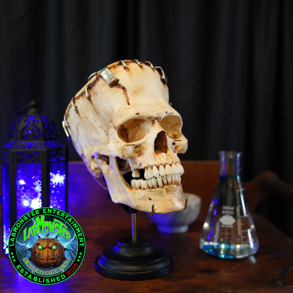 Life-Size Frankensetin Monster Skull Replica