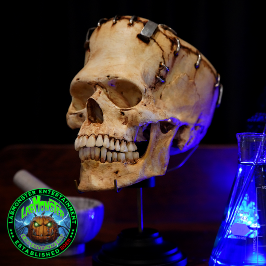 Life-Size Frankensetin Monster Skull Replica