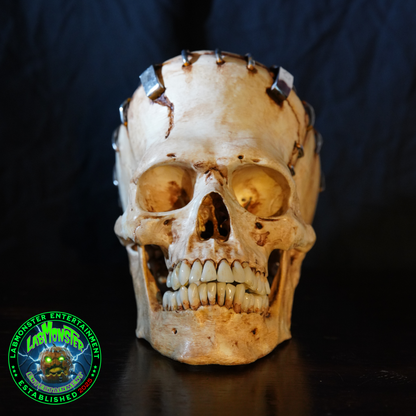 Life-Size Frankensetin Monster Skull Replica
