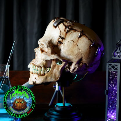 Life-Size Frankensetin Monster Skull Replica