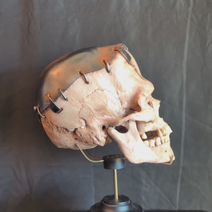 Life-Size Frankensetin Monster Skull Replica